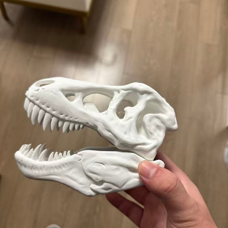 3D-печатная модель черепа тира – обзор и цена 3D Printing Enthusiast